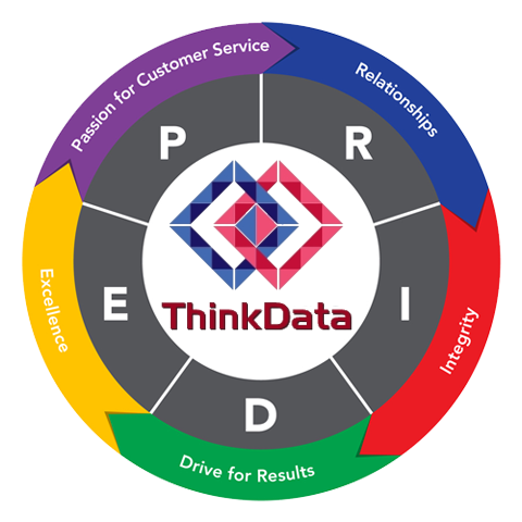 logo_thikdata